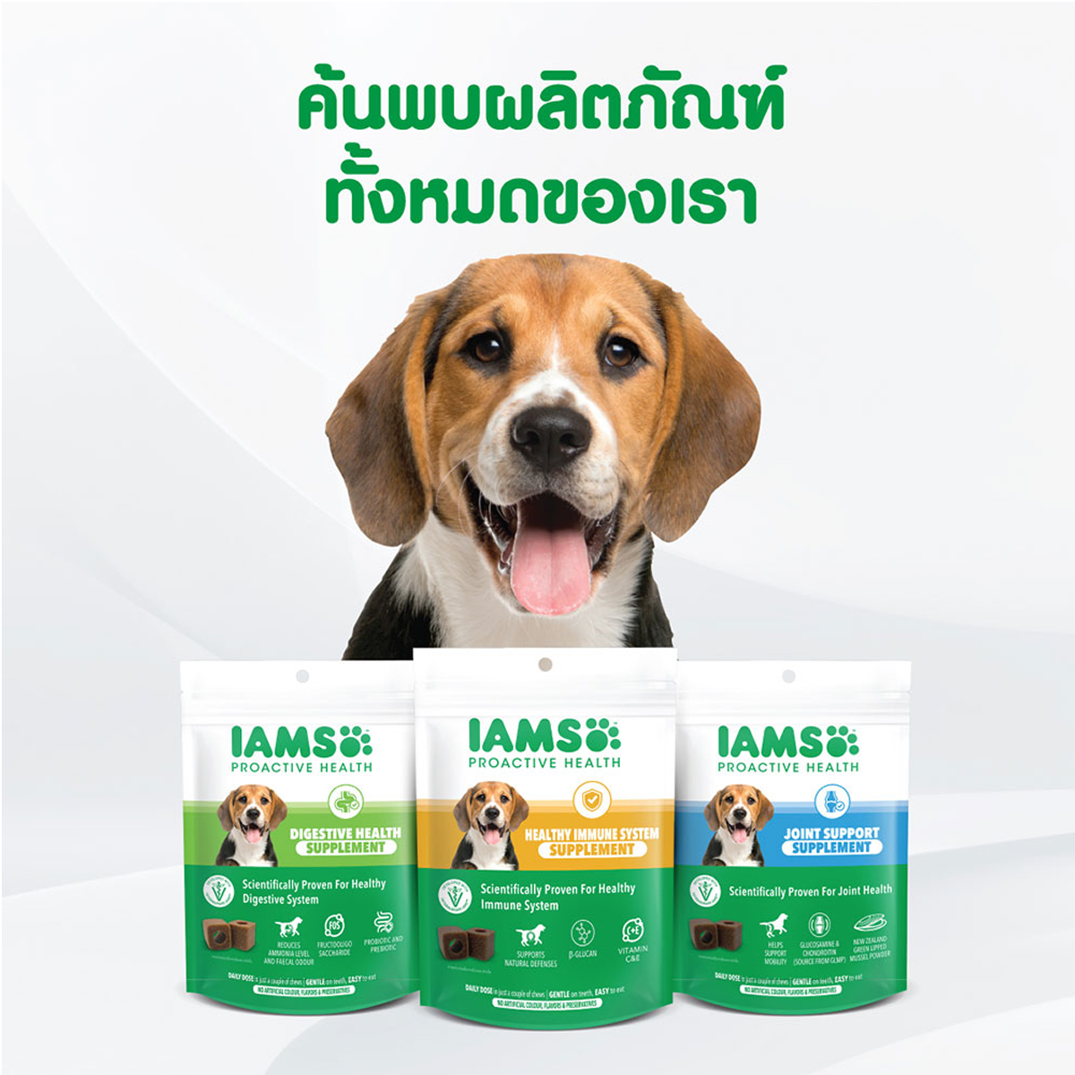 IAMS ไอแอมส์ อาหารเสริมสุนัข - อาหารเสริมเคี้ยวได้ ขนาด 168 G