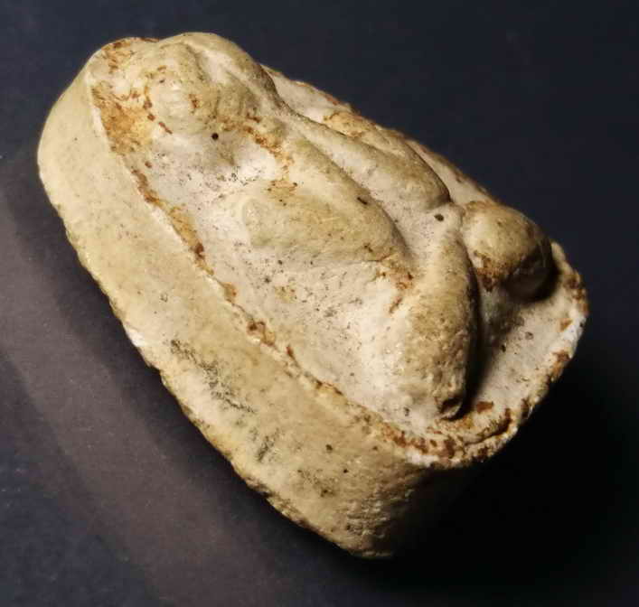 รหัสสินค้า พระปิดตา ทั่วไป 048 พระปิดตาเนื้อผง หลังหนุมาน หลวงปู่เกลี้ยง วัดเนินสุทธาวาส