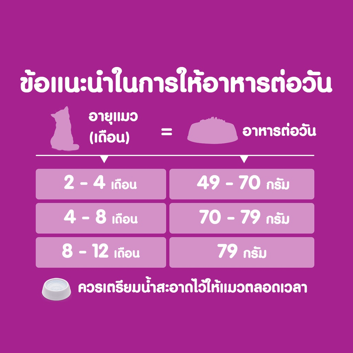 whiskas อาหารแมว วิสกัส อาหารเม็ดสำหรับแมว ขนาด 6.5-7KG
