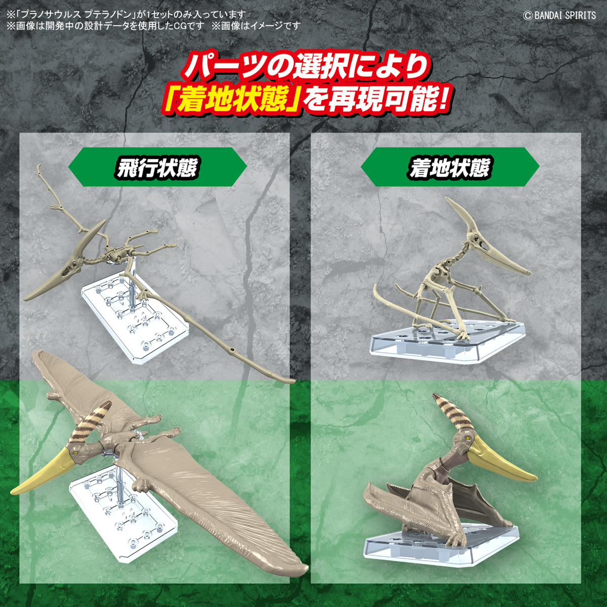 <Preorder ปิดรับวันที่30/9/2023 >🔔เปิดรับPreorder ไม่ต้องมัดจำครับ planosaurus pteranodon