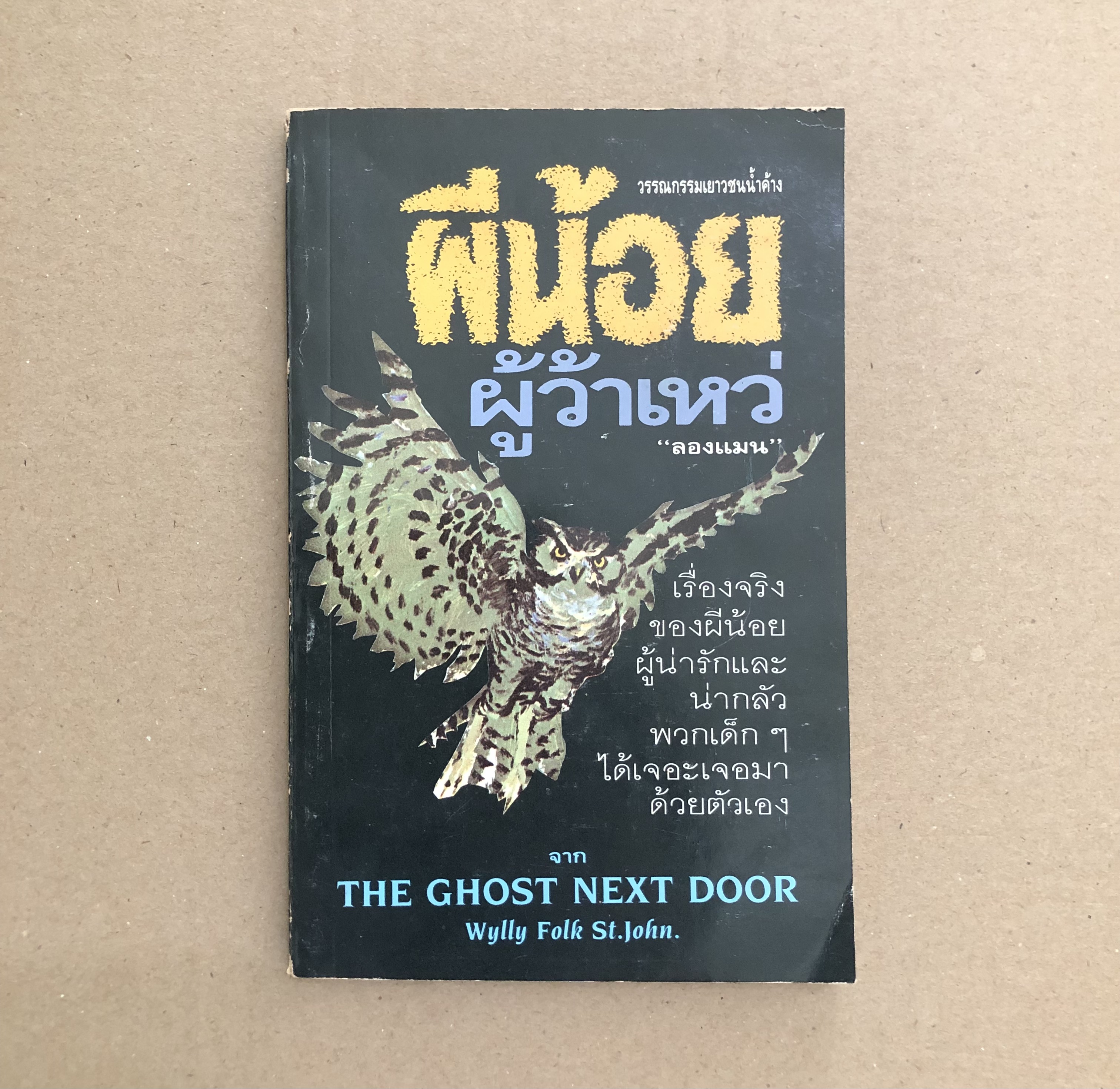ผีน้อยผู้ว้าเหว่ (The Ghost Next Door)
