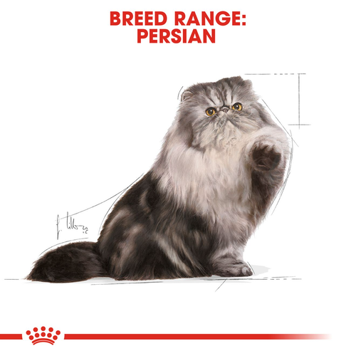 Royal Canin Persian Loaf สำหรับแมวโต พันธุ์เปอร์เซีย อายุ 12 เดือนขึ้นไป