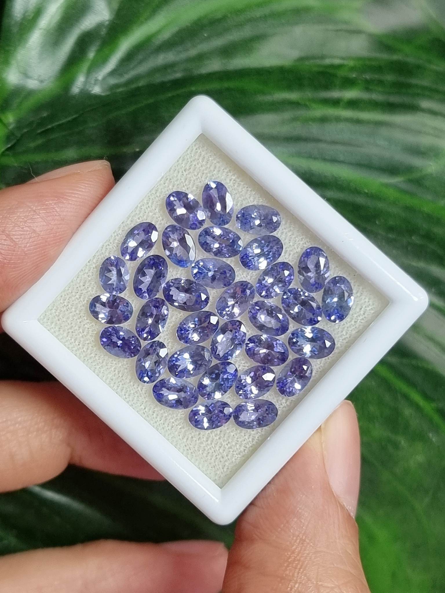 แทนซาไนท์ไข่ 6x4mm. 15.70 กะรัต 1 ชุด