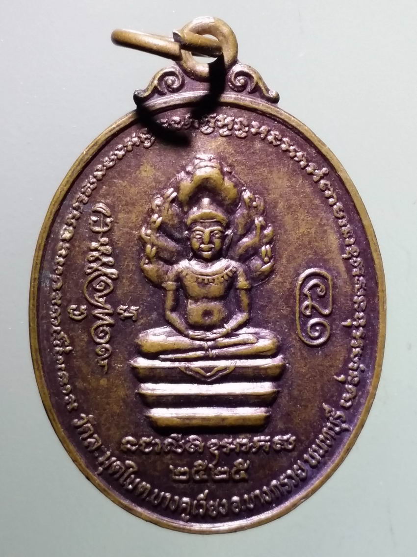antig FB 379 เหรียญพระนาคปรก พระครูนันทปัญญาธร วัดละมุดใน ตำบลบางคูเวียง อำเภอบางกรวย จังหวัดนนทบุรี