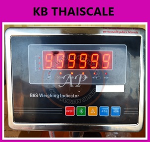 เครื่องชั่งดิจิตอล 5 ตัน เครื่องชั่งดิจิตอลแบบวางพื้นขนาดใหญ่ 5 ตัน ค่าละเอียด 500 กรัม ยี่ห้อ ZEPPER รุ่น B6S Series ขนาดแท่นชั่ง 150x150cm. (หัวอ่านสแตนเลส)