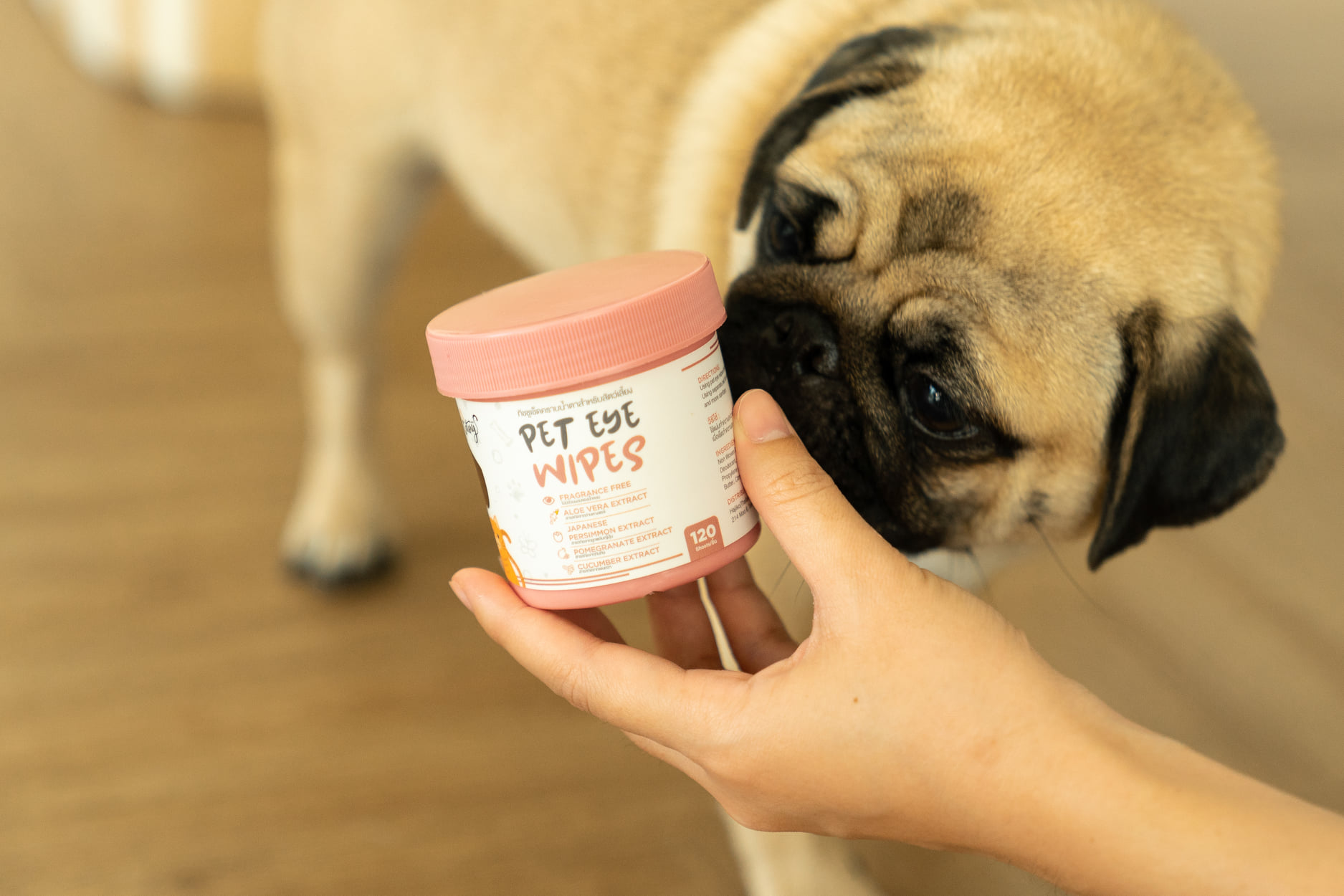 Hajiko X Catory ทิชชูเปียกเช็ดคราบน้ำตา *อ่อนโยน *ปลอดภัย *ยับยั้งเชื้อแบคทีเรีย