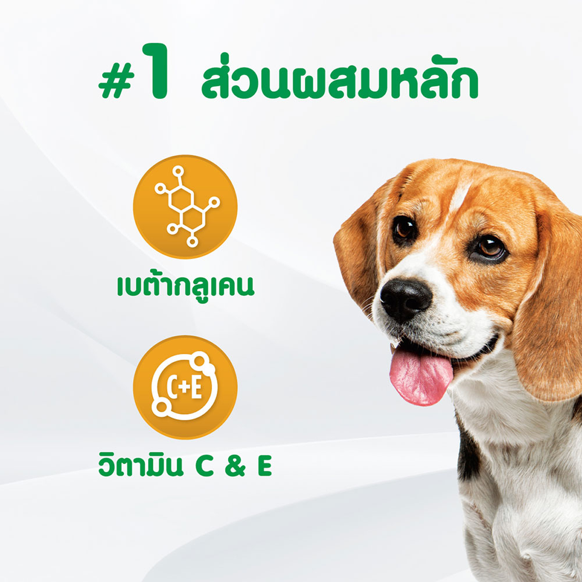 IAMS ไอแอมส์ อาหารเสริมสุนัข - อาหารเสริมเคี้ยวได้ ขนาด 168 G