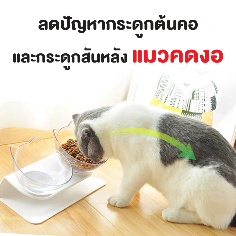 ชุดชามให้อาหารแมว แบบเอียง 15 องศา