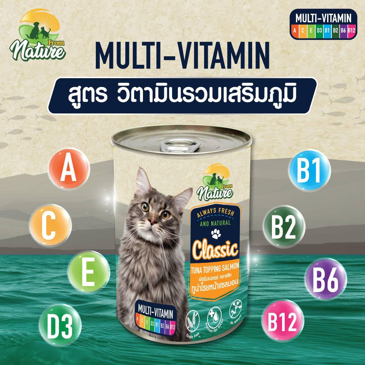 FROM NATURE อาหารกระป๋องเนื้อเยลลี่ สำหรับแมวทุกวัย ขนาด 400g