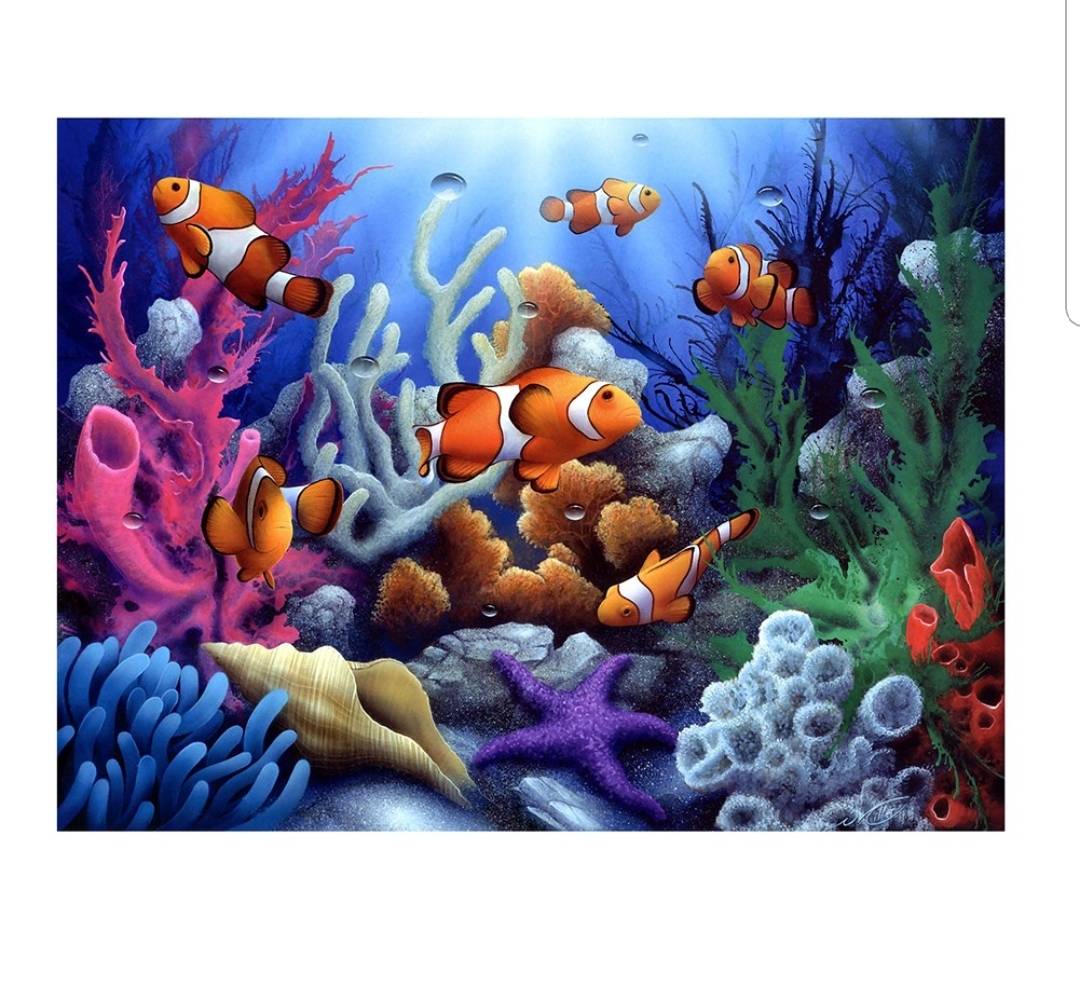 5D DIY Diamond Painting ไดมอนด์ครอสติส ลายปลานีโม่ ขนาด 40x30ซม.แบบใส่ซอง
