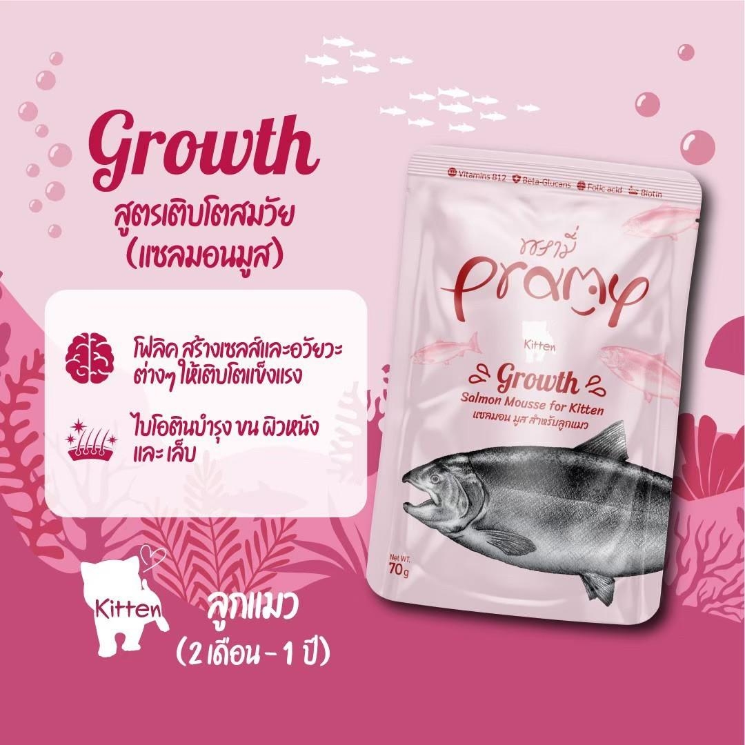 PRAMY พรามี่ อาหารเปียกแมว สูตรใหม่ ขนาด 70 กรัม (โหล 12 ซอง)
