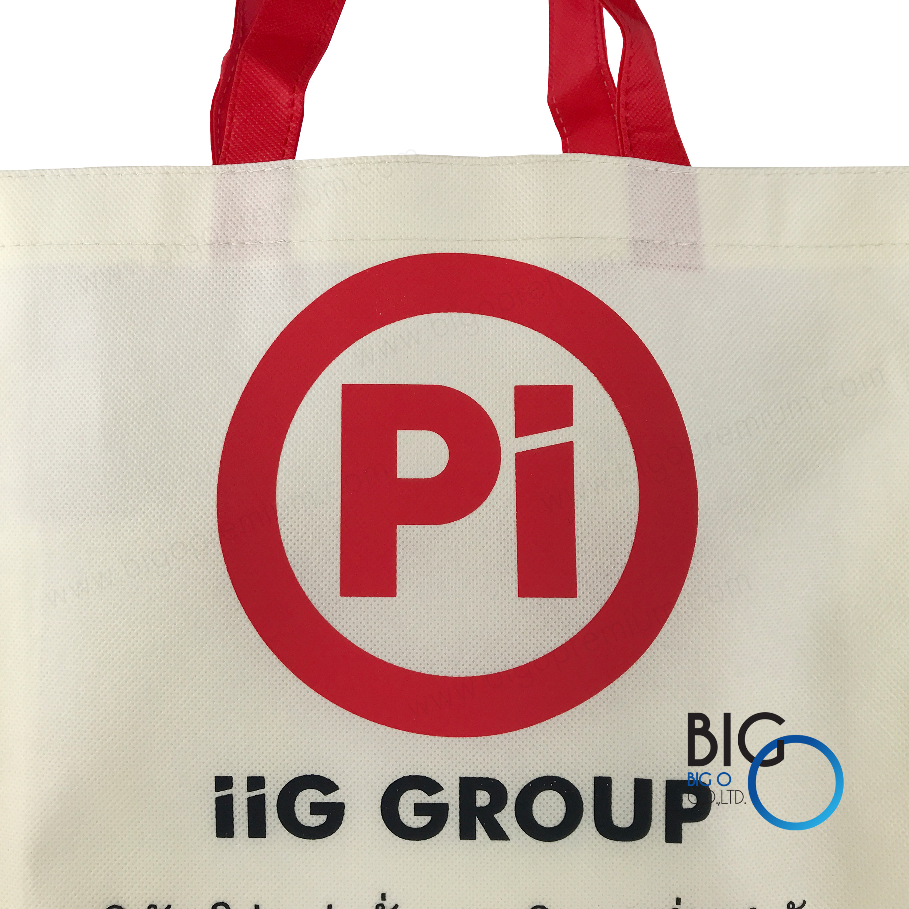 บริษัท โปรเฟสชั่นนอล อินซูเลชั่น จำกัด (iiG Group)