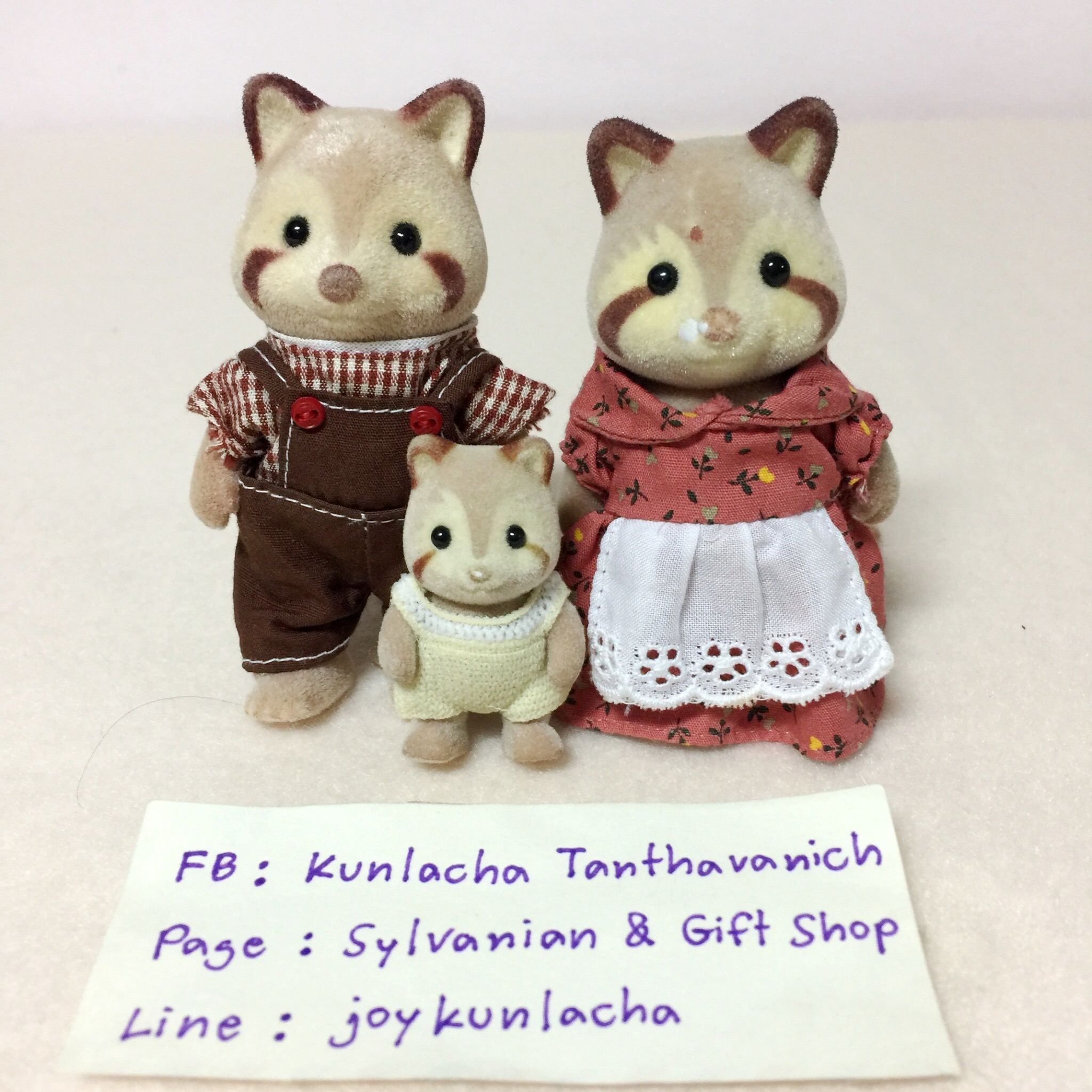 ครอบครัวคุณแรคคูน Raccoon Family : Sylvanian Families
