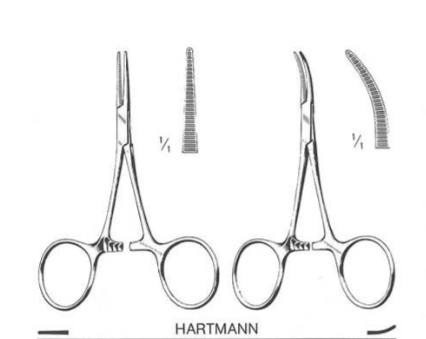 HARTMANN MOSQUITO FORCEP