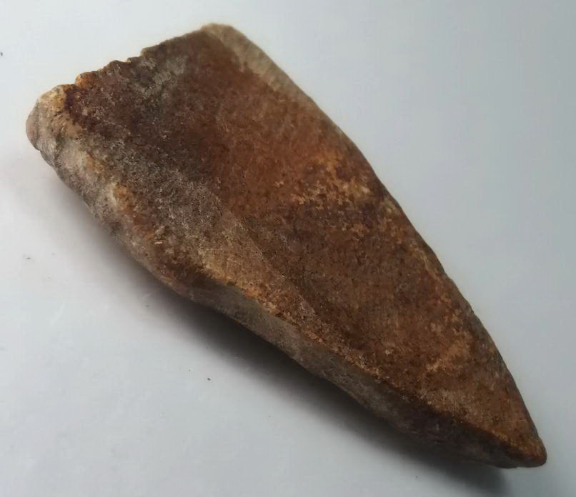 รหัสสินค้า พระกรุ 044 พระพุทธชินราช ซุ้มเส้นคู่ เนื้อดิน กรุโรงทอ จ.พิษณุโลก