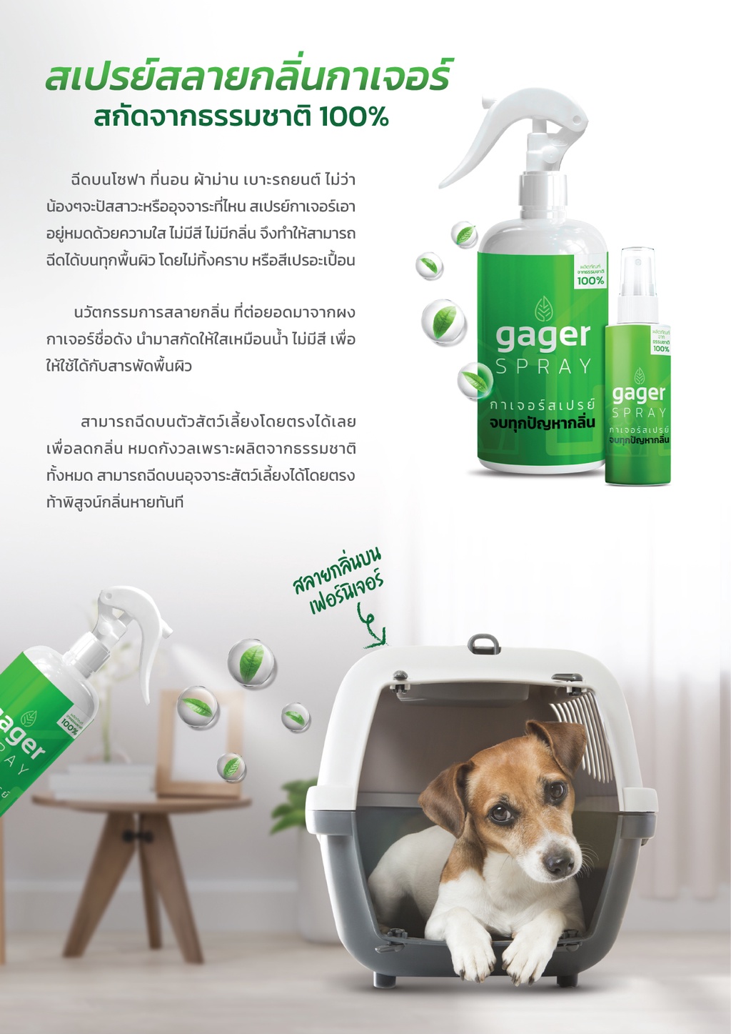 Gager กาเจอร์ สเปรย์ดับกลิ่นฉี่แมว สุนัข ดับกลิ่นตัวสัตว์เลี้ยงทุกชนิด60ml