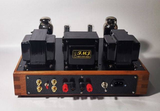 Tube amp 6550 SE