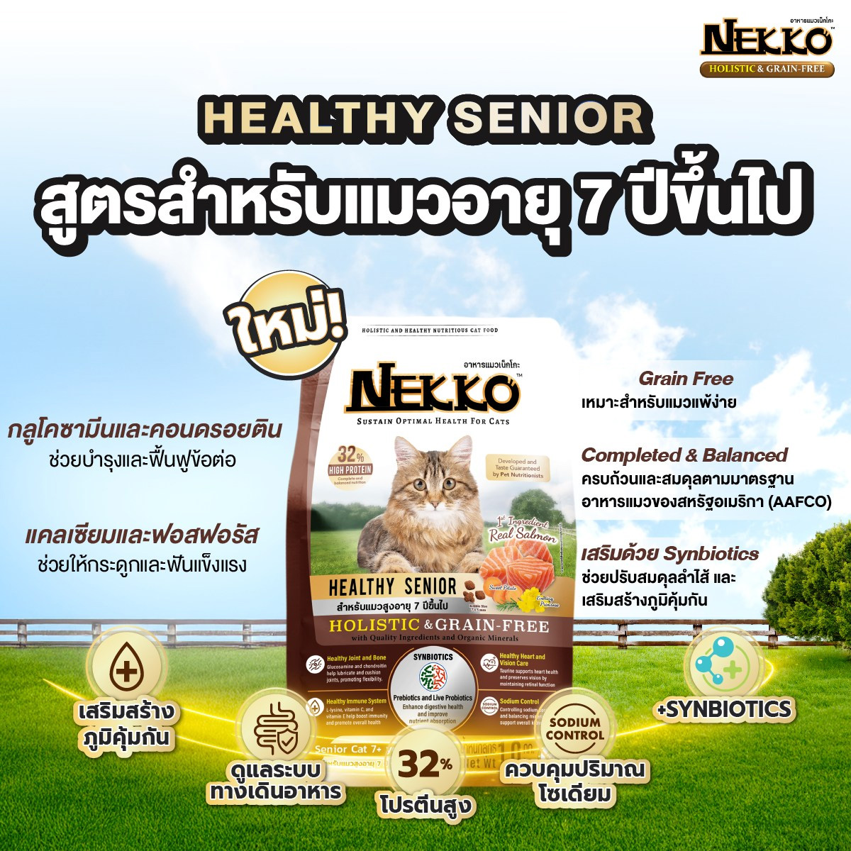 Nekko Holistic&Grain-Free เน็กโกะ โฮลิสติกและเกรนฟรี อาหารเม็ดแมว อาหารแมว ขนาด 1kgx10