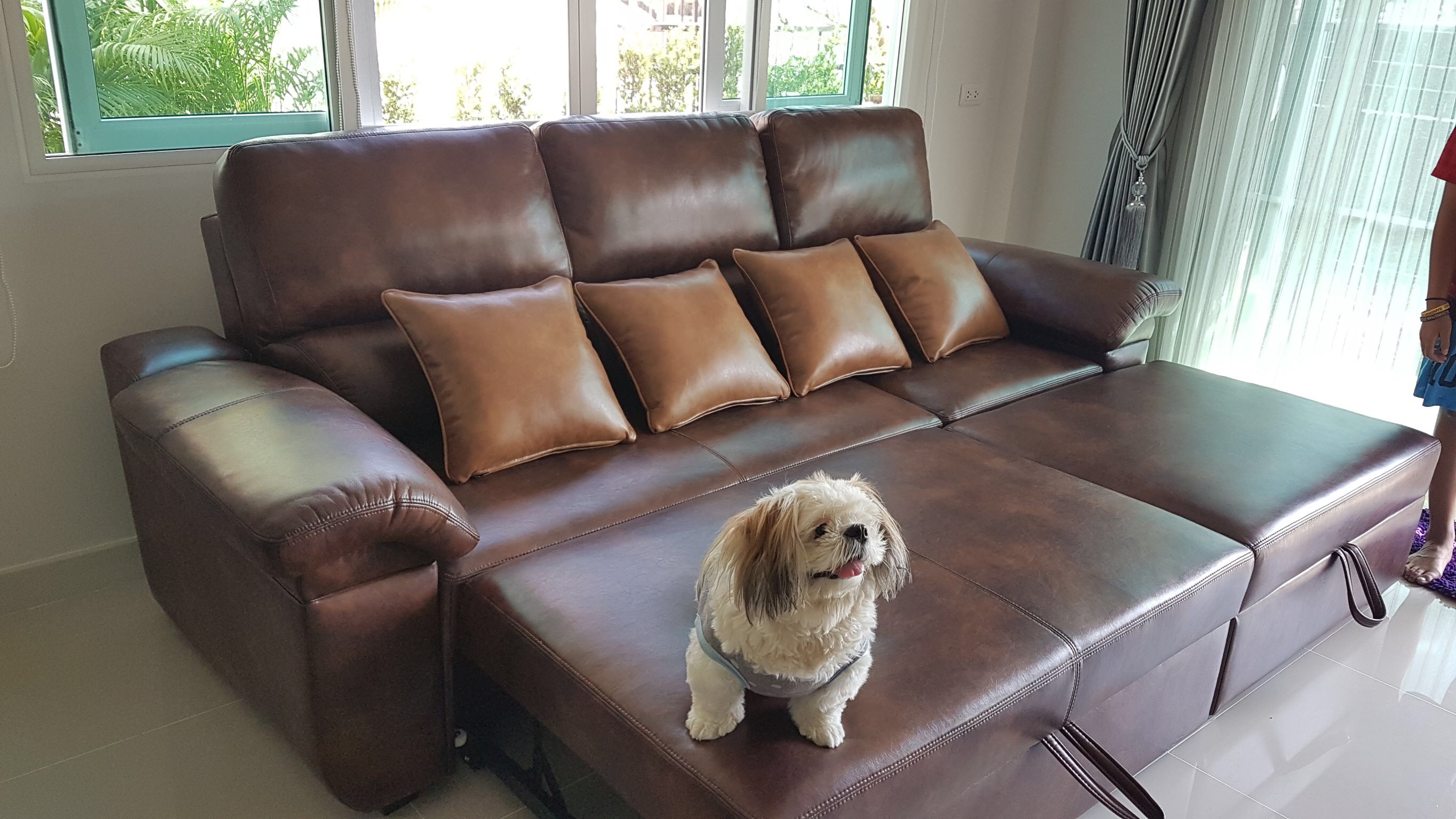 โซฟาเบด,จำหน่ายโซฟาเบด,โซฟาเบดราคา,sofa bed,โซฟาปรับนอนได้,โซฟาราคาถูก,โซฟาญี่ปุ่น,โซฟา,โซฟาเบดสวยๆ