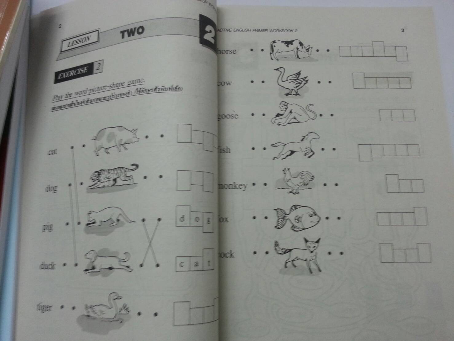 Active English Primer New Edition Book 2 พร้อมแบบฝึกหัด