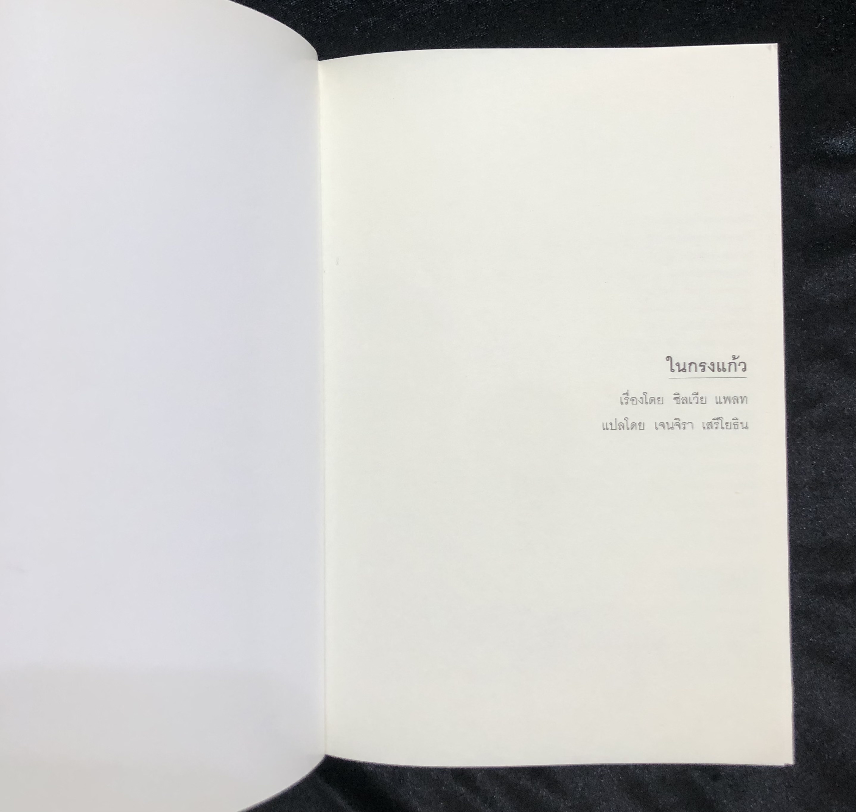 ในกรงแก้ว The Bell Jar - ซิลเวีย แพลท