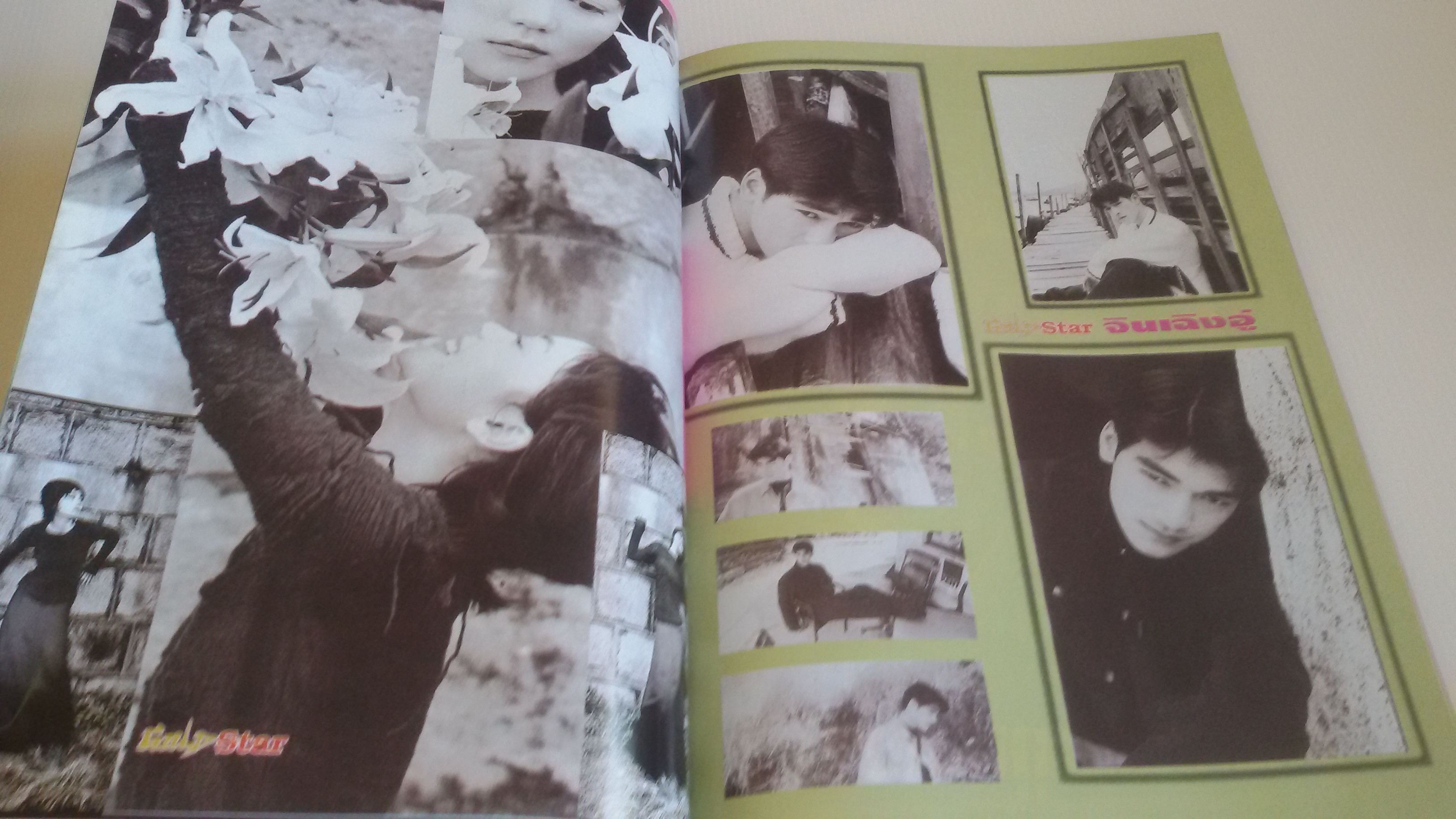 Gold Star มกราคม 2538