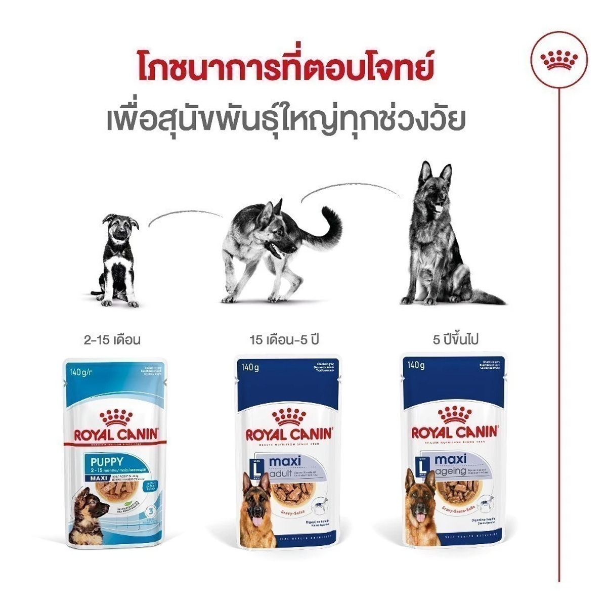 [ยกกล่อง 12 ซอง] Royal Canin Size Health Pouch Gravy อาหารเปียกสุนัขทุกสายพันธุ์ ขนาด 85-140g