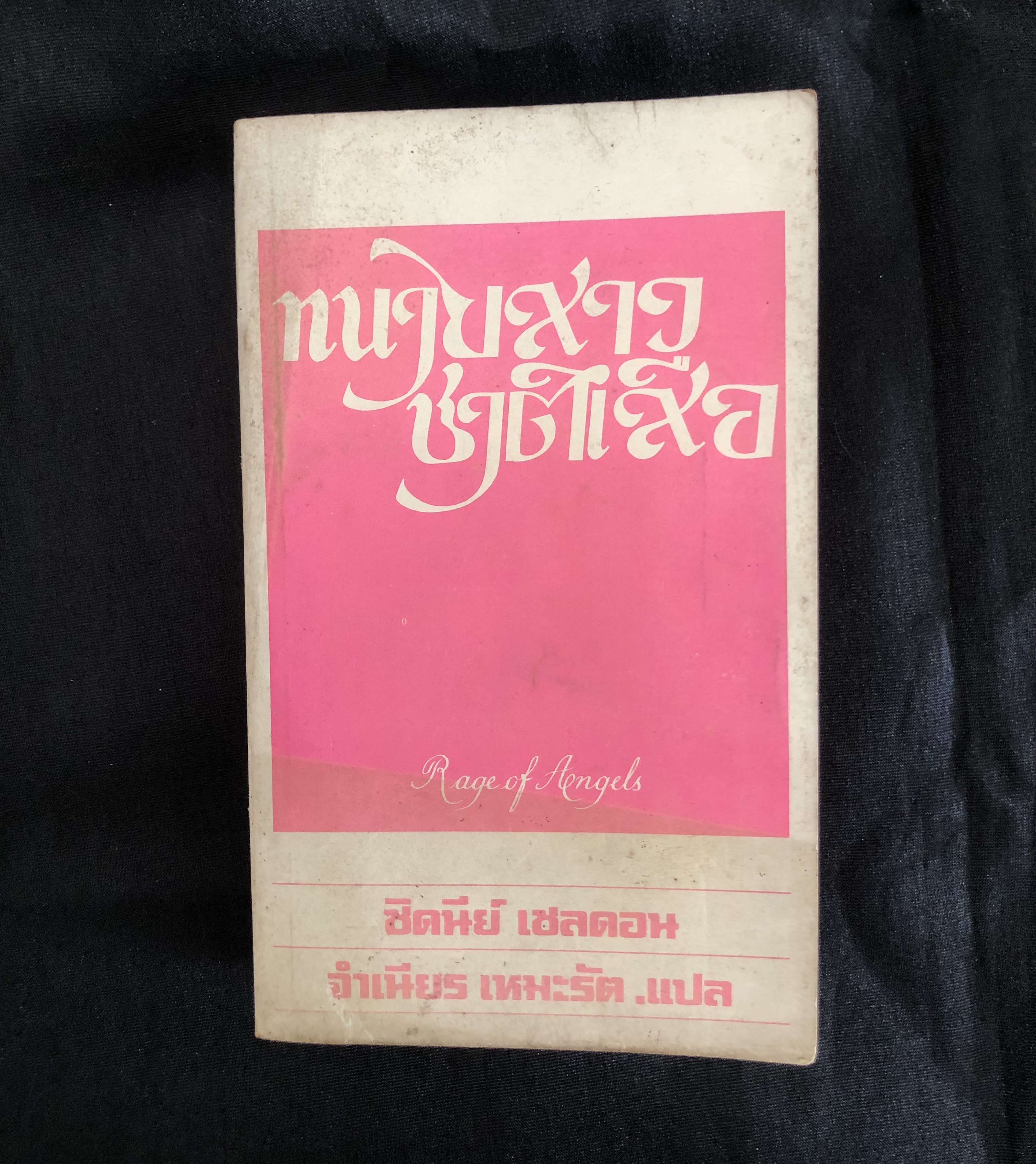 ทนายสาวชาติเสือ (Rage of Angles)