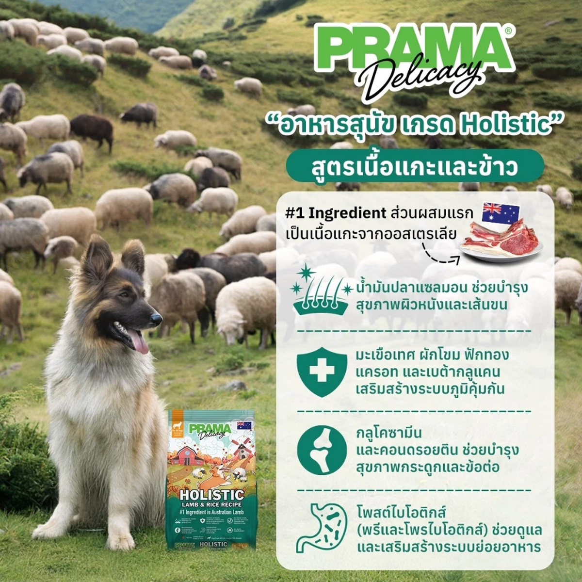Prama Holistic พราม่า อาหารสุนัขพราม่าเกรด สูตร เนื้อแกะ และ ปลาทูน่า ขนาด 1.2kg