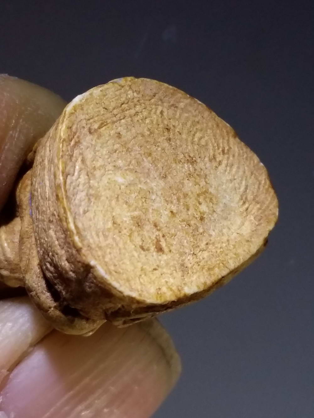 รหัสสินค้า หลวงปู่ทวด วัดต่างๆ 243 รูปหล่อลอยองค์เนื้อผงหลวงปู่ทวด หลวงพ่อไฉน เนติปาโล พระรายการนี้ให้เช่าบูชาแล้ว