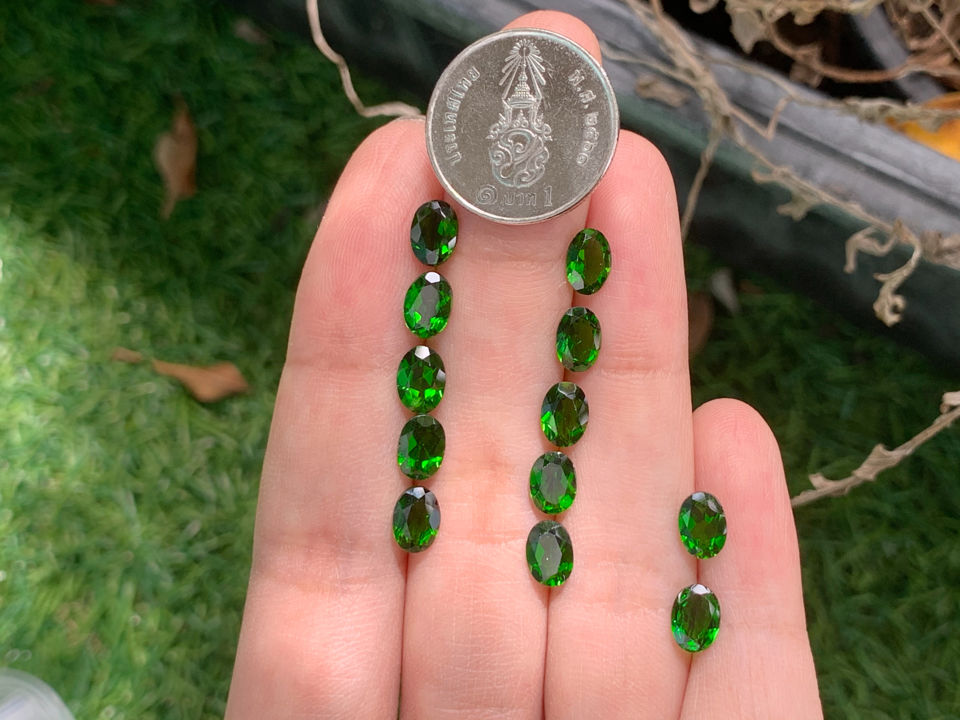 โครมไดออฟไซด์ 7x5 มม. 1 เม็ด