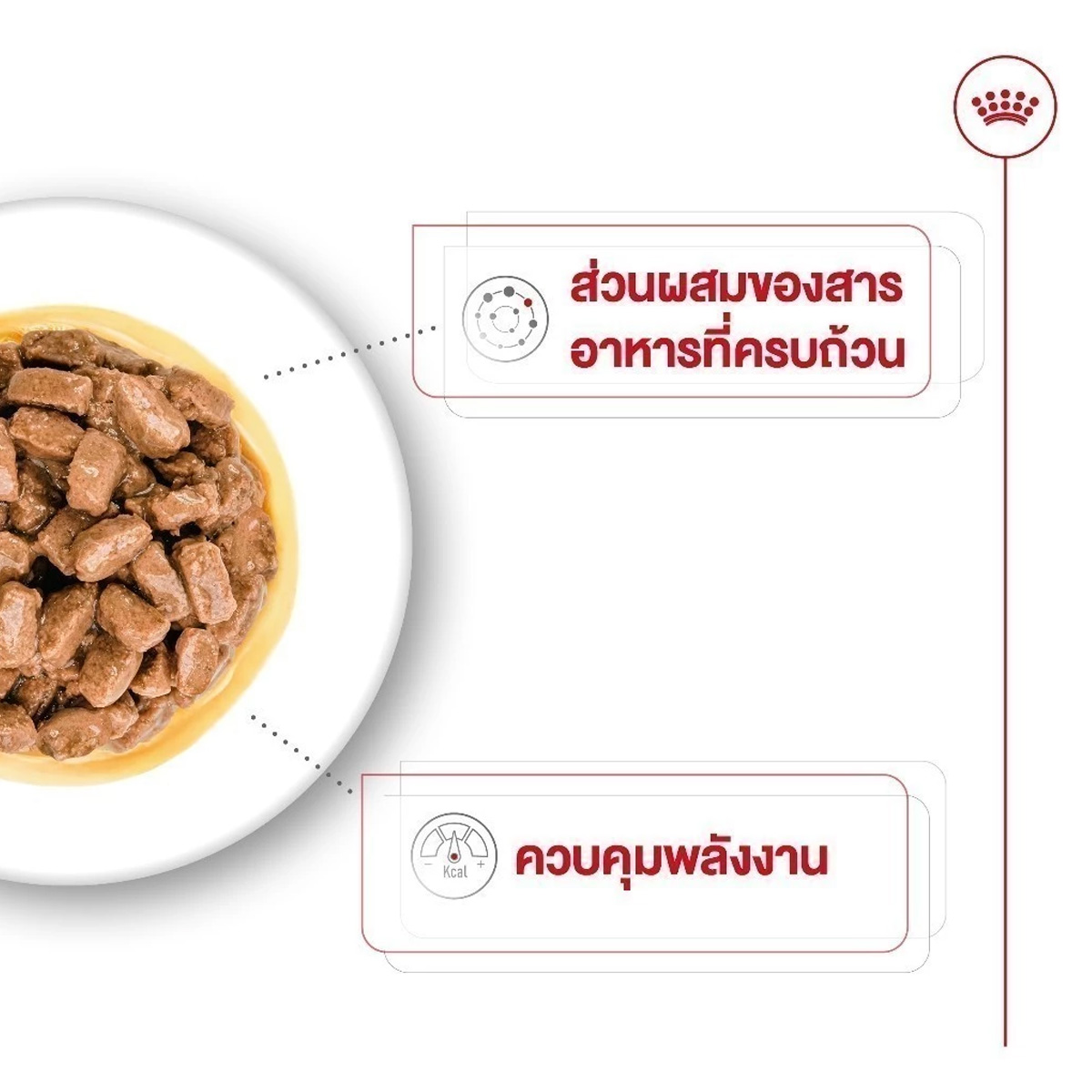 Royal Canin Mini Adult 8+ 800g อาหารเม็ดสุนัขสูงวัย พันธุ์เล็ก อายุ 8 ปีขึ้นไป (Dry Dog Food, โรยัล คานิน)