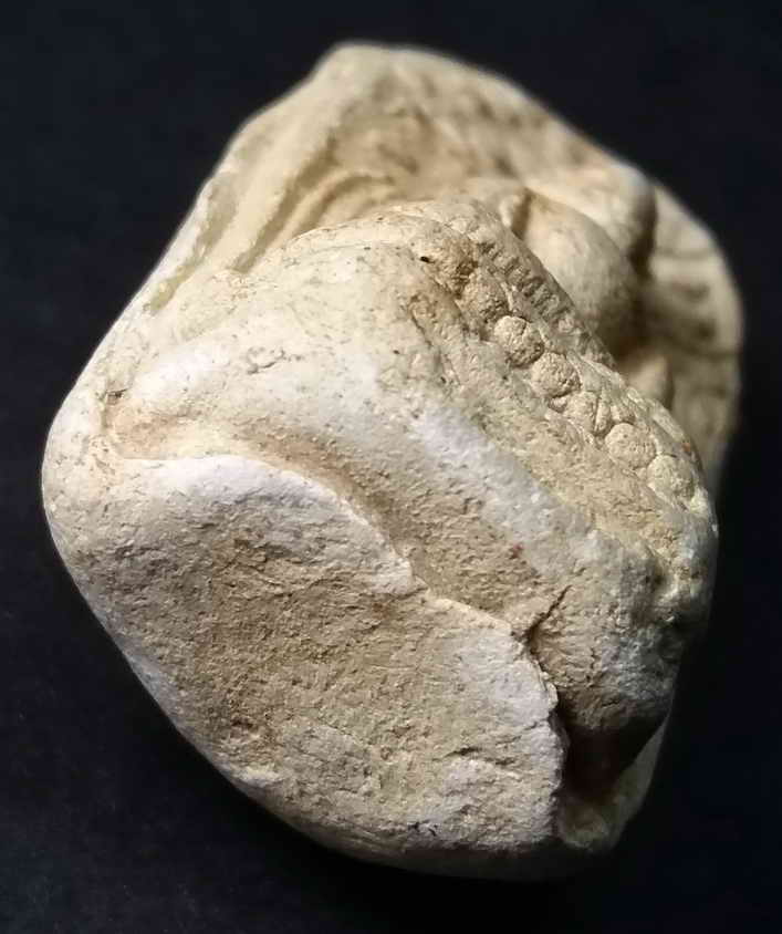 รหัสสินค้า พระกรุ 005 พระคง ทรงพระบาง จ.ลำพูน เนื้อขาวคราบเหลือง รายการนี้ให้เช่าบูชาแล้ว