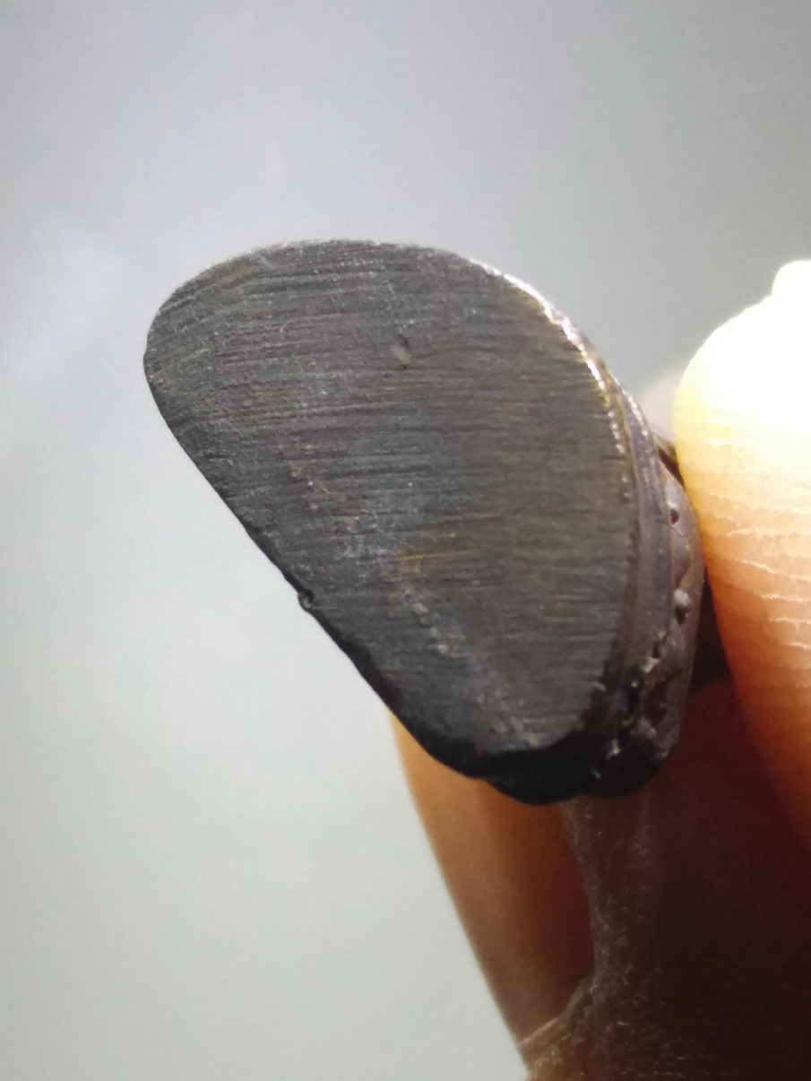 รหัสสินค้า พระมีกล่อง 3896 พระกริ่งเนื้อนวโลหะ หลวงพ่อสัมฤทธิ์ผลทันใจ สำนักปฏิบัติธรรมเขาพลอย อำเภอสัตหีบ จังหวัดชลบุรี จัดสร้างปี 2555