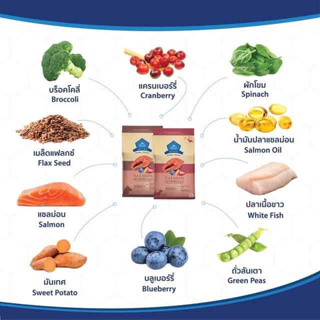 Buzz (บัซซ์) Netura อาหารสุนัขสูตรเกรนฟรี ปราศจากธัญพืช 2.5KG
