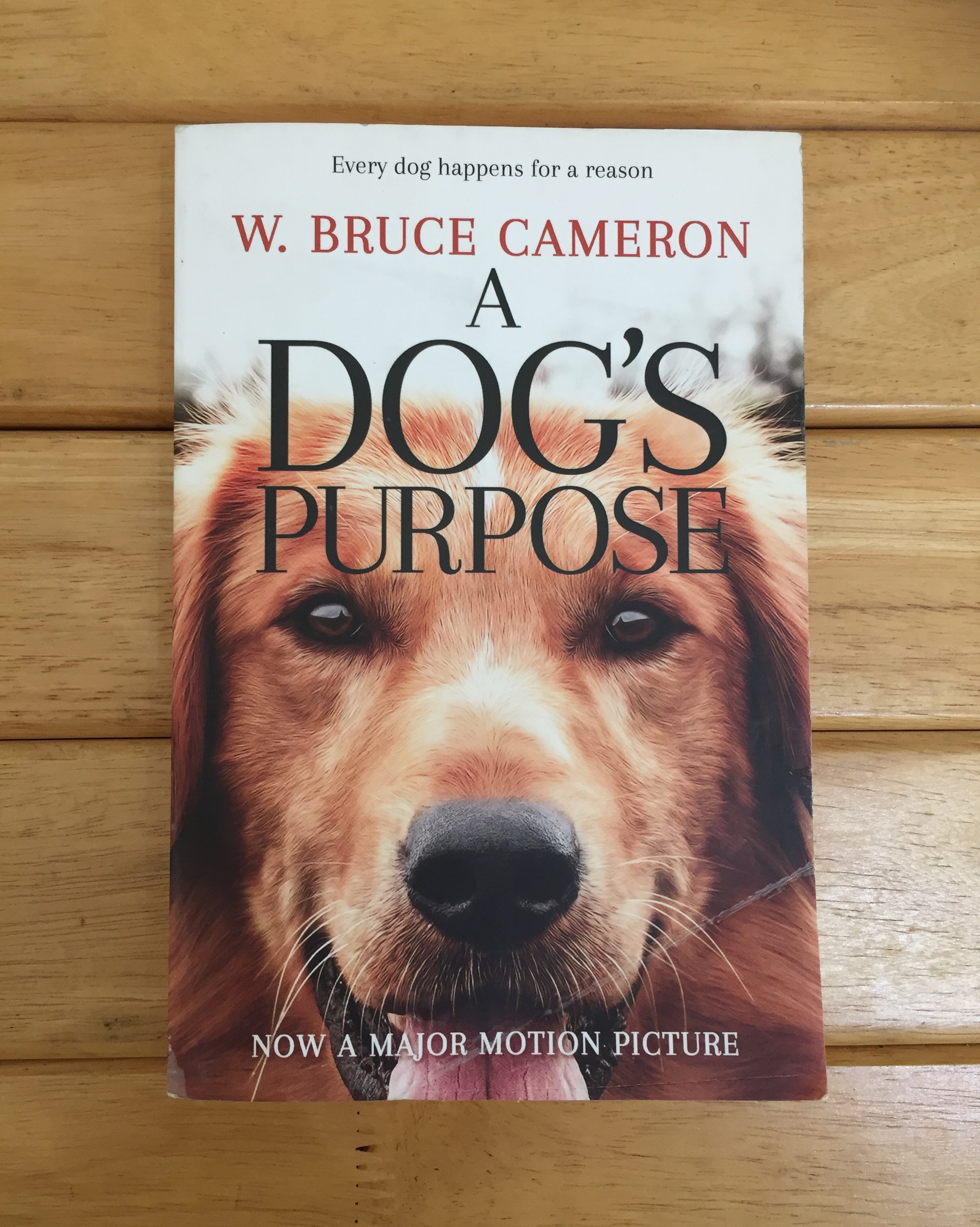 A Dog's Purpose