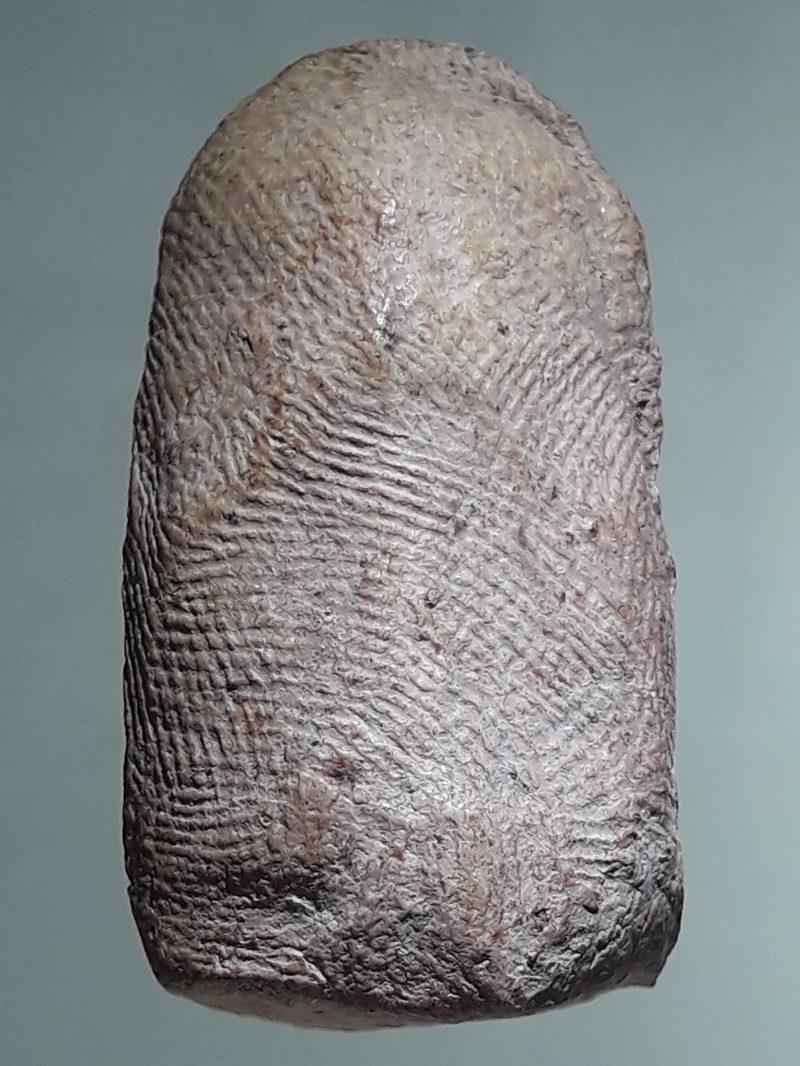 รหัสสินค้า พระเนื้อดิน ผง ว่าน 10545 พระคงลำพูน พระคงทรงพระบาง สภาพสวย ลายนิ้วมือติดชัดเจนครับ