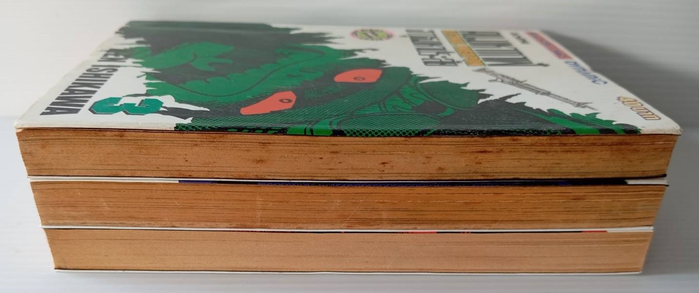 คนมหากาฬอาวุธมหาประลัย (อิชิกาว่า เค็น)