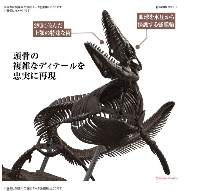 <Preorder ปิดรับวันที่ 2/4/2023>> 🔔เปิดรับPreorder มัดจำ 100 บาท Imaginary Skeleton Mosasaurus (Plastic model)