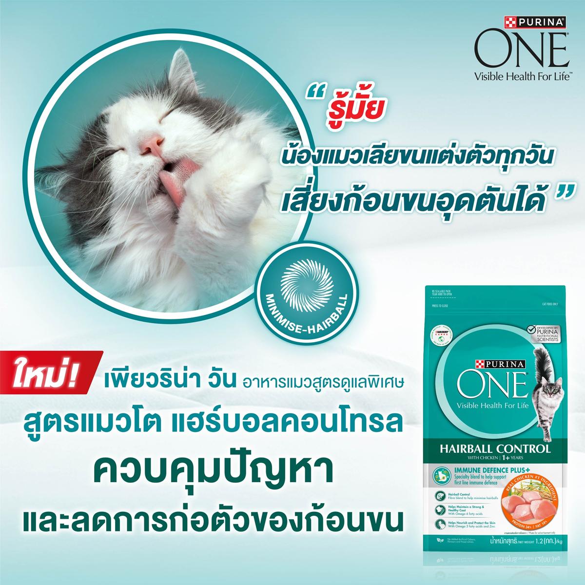 Purina One อาหารแมว เพียวริน่าวัน ขนาด 380-400G