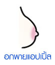 อกพายแอปเปิ้ล