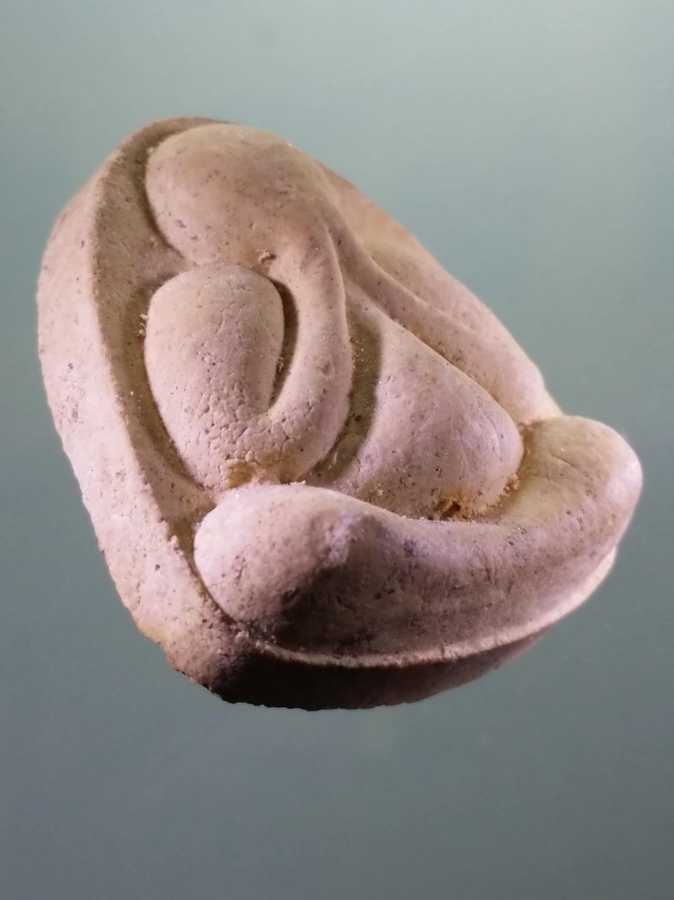 รหัสสินค้า พระมีกล่อง 036 พระปิดตาเนื้อผง หลังหนุมาน หลวงปู่เกลี้ยง วัดเนินสุทธาวาส จังหวัดชลบุรี พระสวยกล่องเดิม