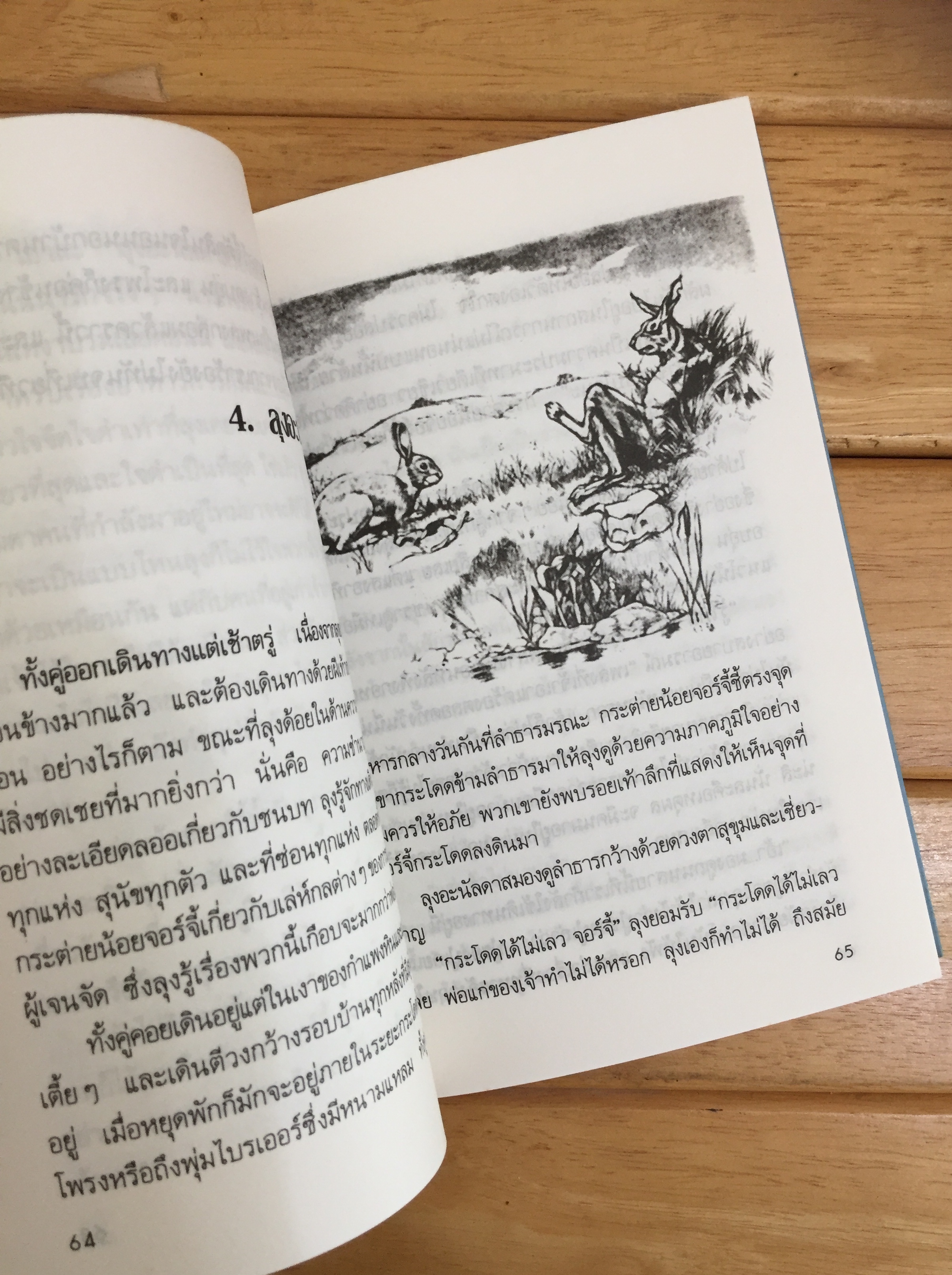 วันสุขสันต์บนเนินเขากระต่าย Rabbit Hill วรรณกรรมเยาวชนรางวัลนิวเบอรี
