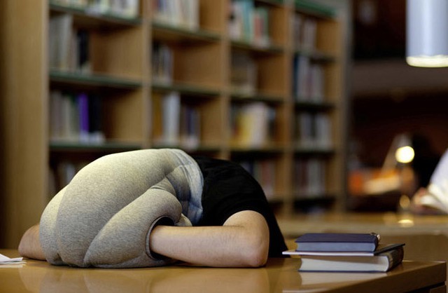 หมอนนกกระจอกเทศ แบบสวมหัว