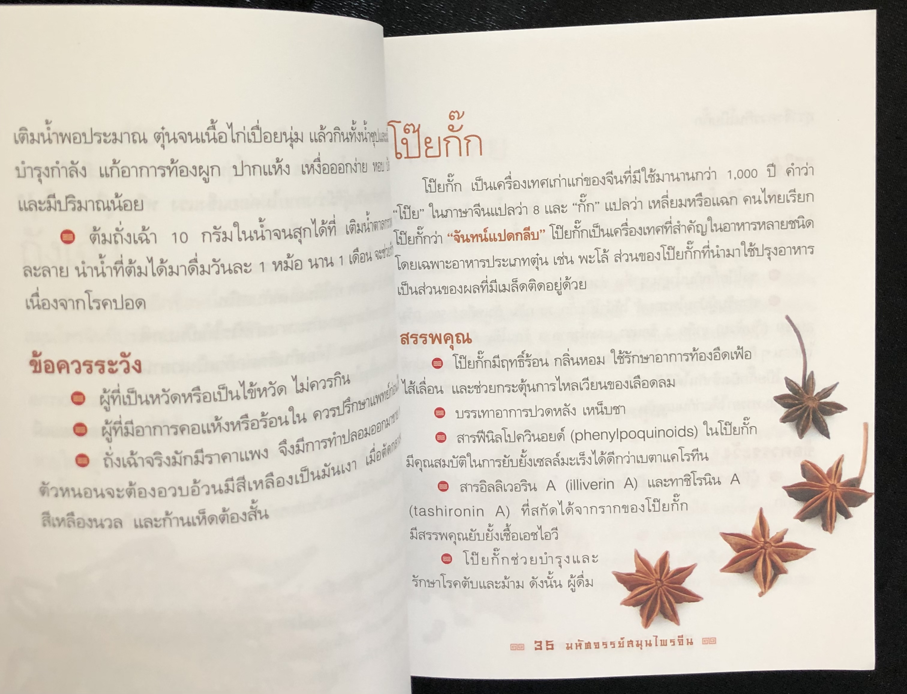 มหัศจรรย์สมุนไพรจีน