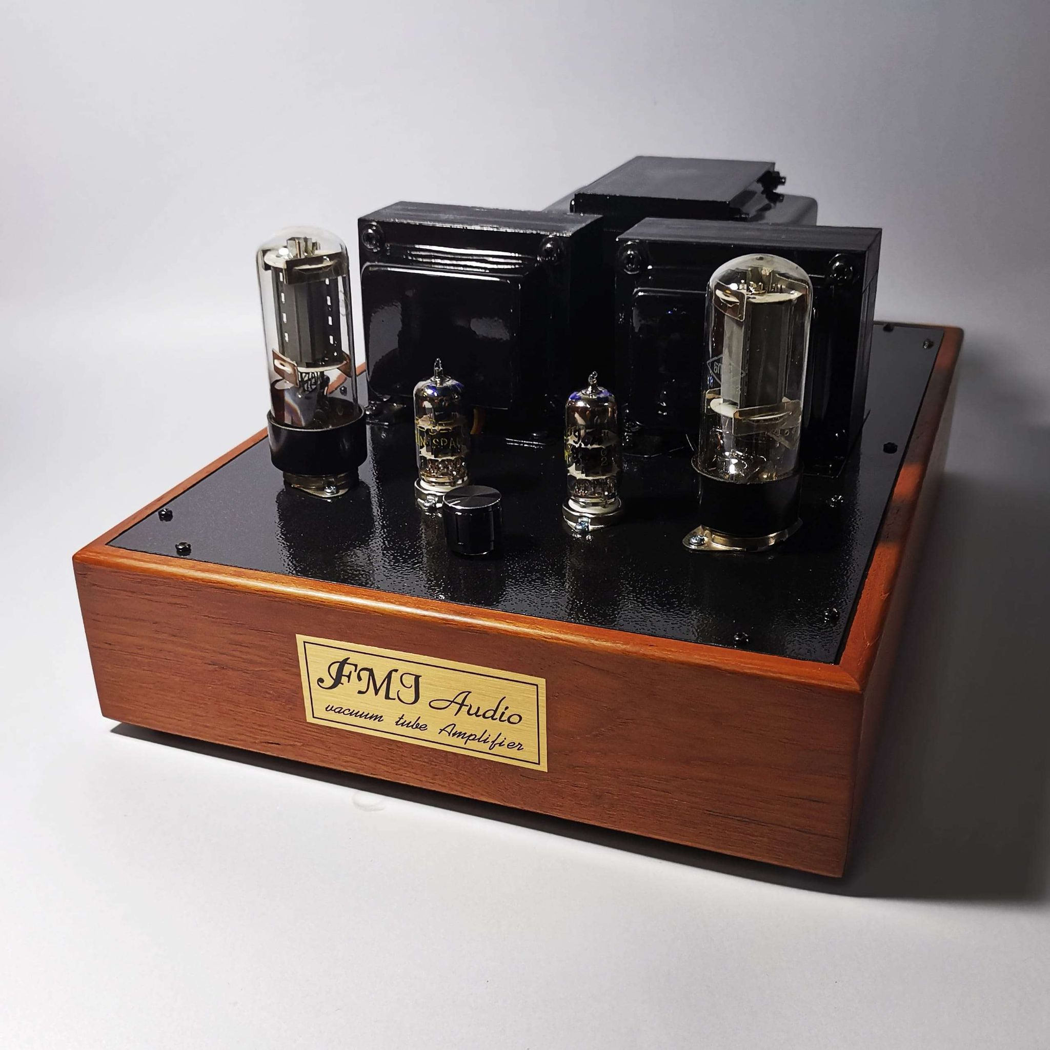 Tube amp 6L6SE
