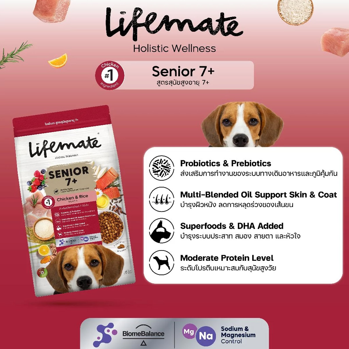 Lifemate Breed ไลฟ์เมท อาหารเม็ดสุนัขโตพันธุ์เล็ก-ใหญ่ ขนาด 1-2KG