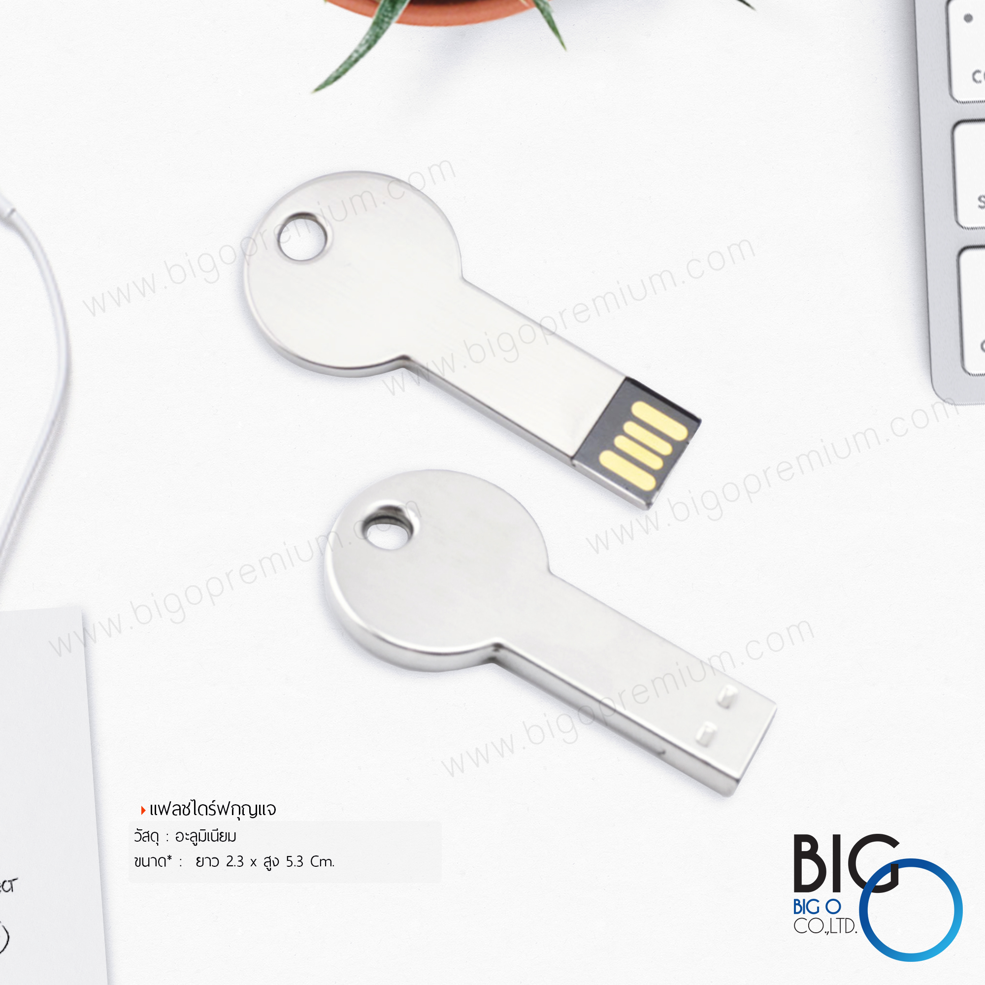 แฟลชไดร์ฟกุญแจ (FlashDrive Key)