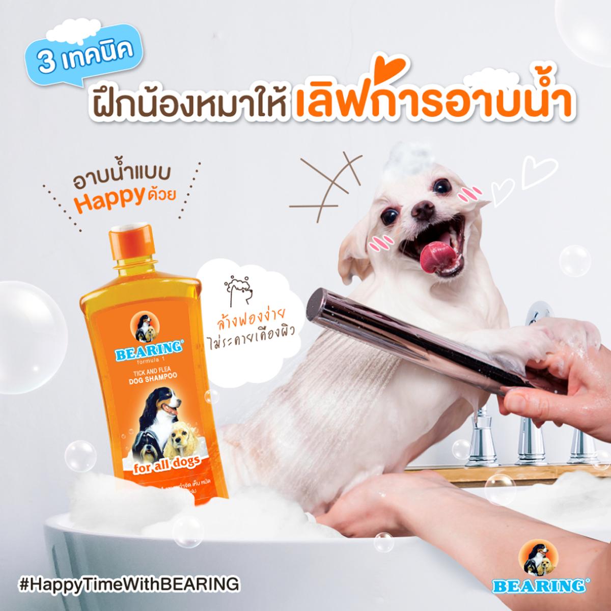 Bearing แชมพูสุนัข แชมพูกำจัด เห็บ หมัด ขนาด 300 ML