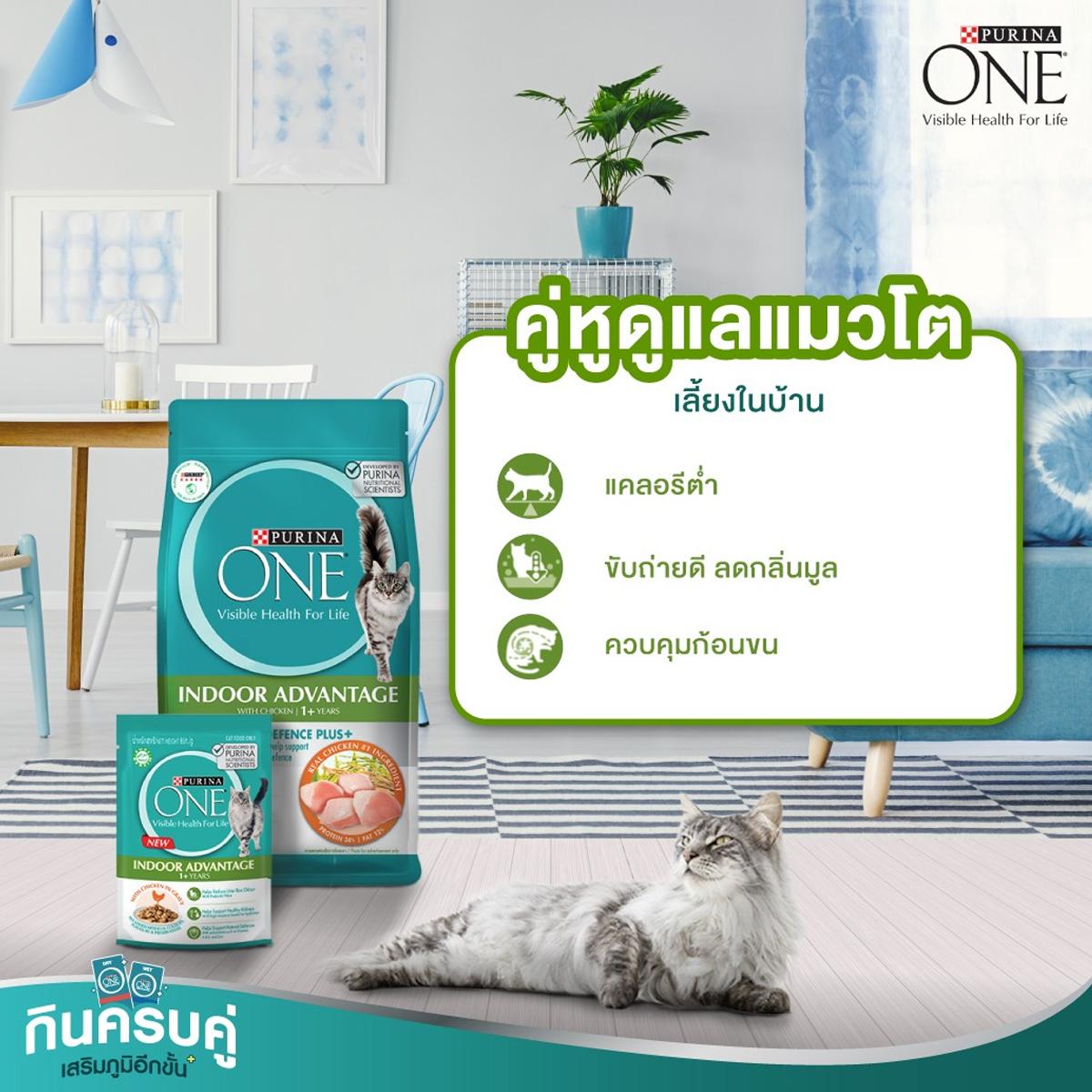 Purina One อาหารแมว เพียวริน่าวัน ขนาด 380-400G